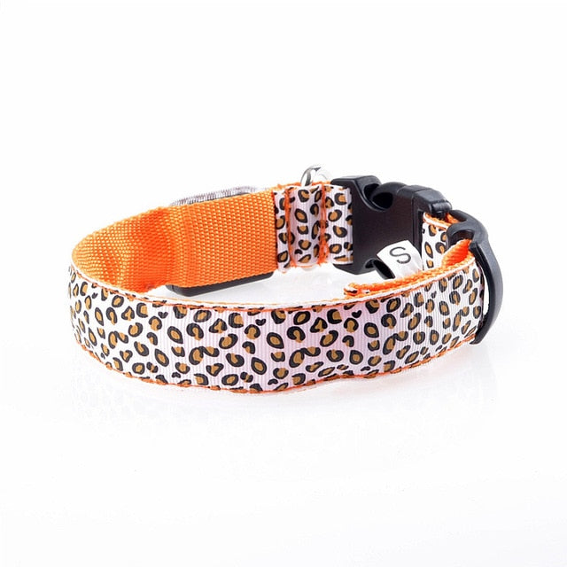TEEK - Light Up Leopard LED Dog Collar PET SUPPLIES theteekdotcom Orange XS 28-38cm 